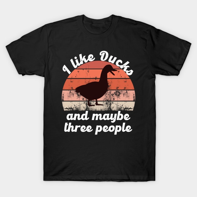 i like ducks and maybe three people T-Shirt by hatem